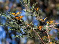2478-Lo912-Pismo-3-15