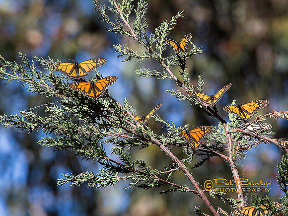 2478-Lo912-Pismo-3-15