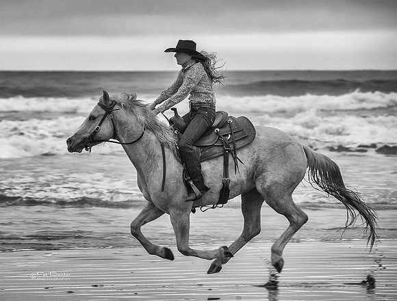 0965-LoRes-PatBenterMorroHorses18