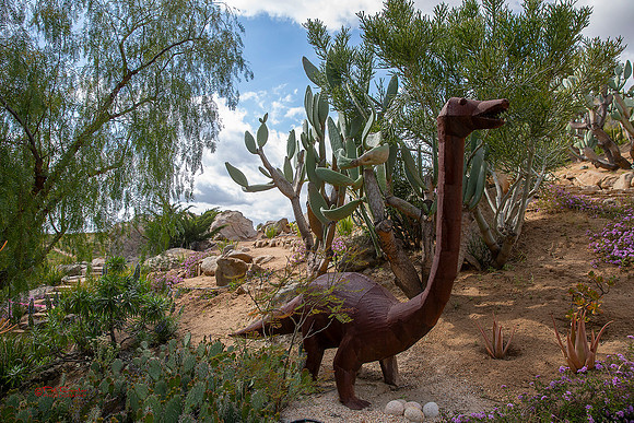9632-LoRes-PlummersGarden23