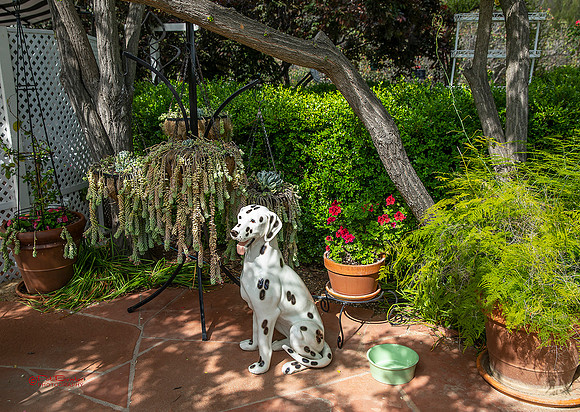 9671-LoRes-PlummersGarden23