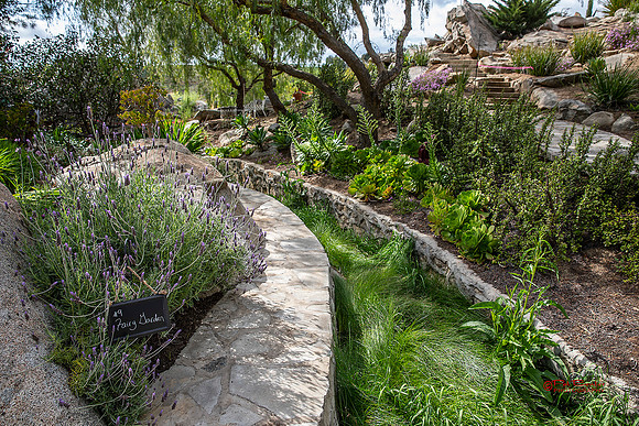 9651-LoRes-PlummersGarden23