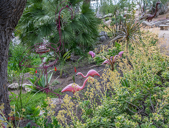 9621-LoRes-PlummersGarden23