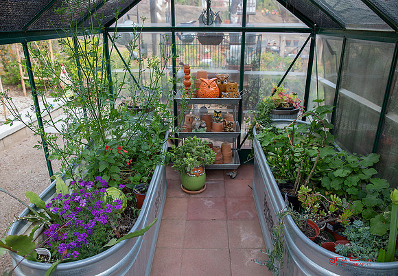 9687-LoRes-PlummersGarden23