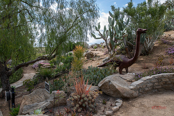 9630-LoRes-PlummersGarden23