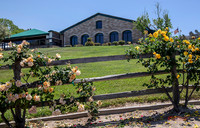 8276-LoRes-ThorntonVenue5-19
