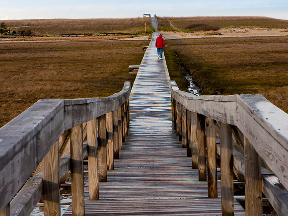4917-WebHP-MarshWalkCape09