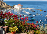 2021 Opening Catalina JazzTrax 2 0f 2  (Sun.)