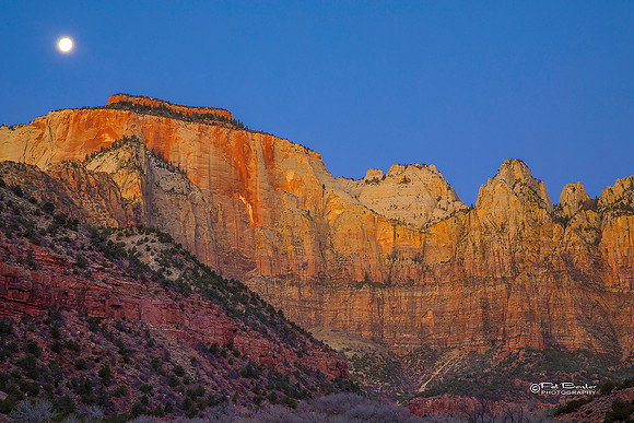 0028-LoRes-ZionCanyon18