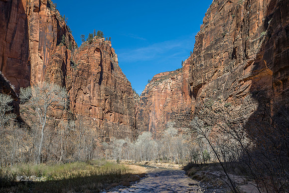 0109-LoRes-ZionCanyon18