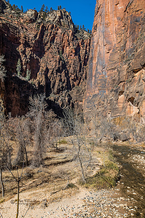 0127-LoRes-ZionCanyon18