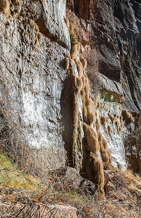 0228-LoRes-ZionRiverwalk18