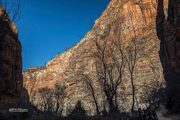 0263-LoRes-ZionCanyon18