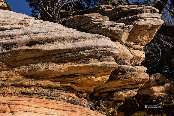 0057-LoRes-ZionCanyon18