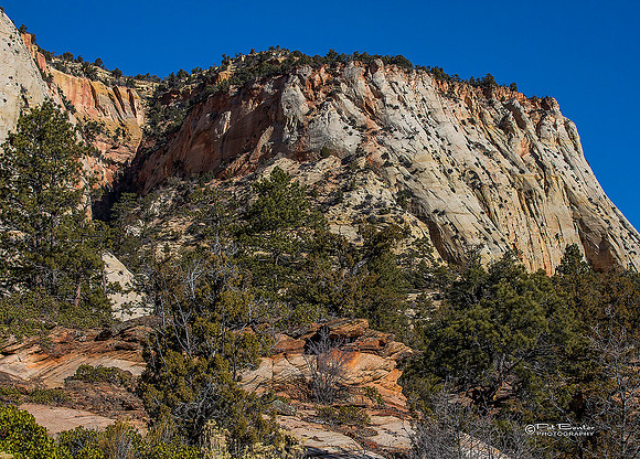 0065-LoRes-ZionCanyon18
