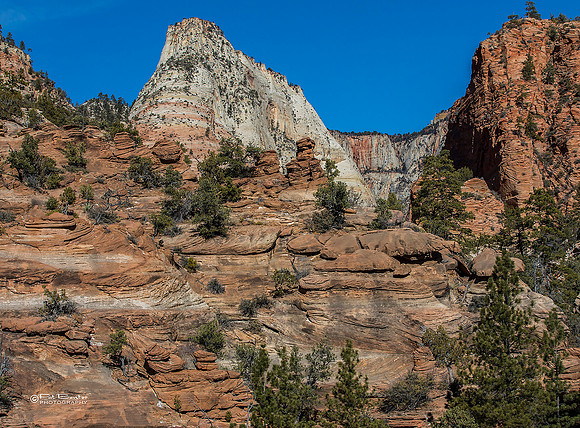 0100-LoRes-ZionCanyon18
