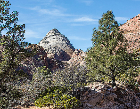 0137-LoRes-ZionCanyon18
