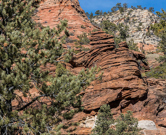 0146-LoRes-ZionCanyon18