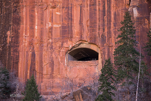0155-LoRes-ZionCanyon18