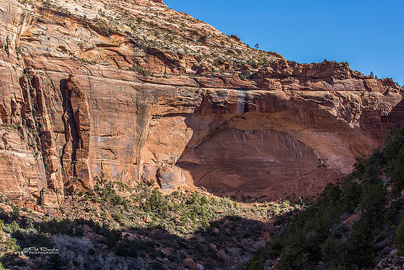 0180-LoRes-ZionCanyon18