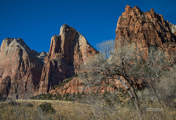 0246-LoRes-ZionCanyon18