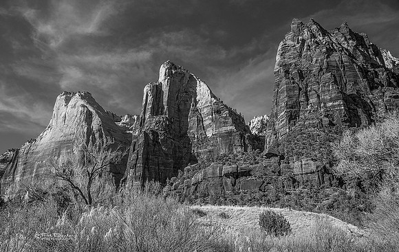 0270B&W-LoRes-ZionCanyon18