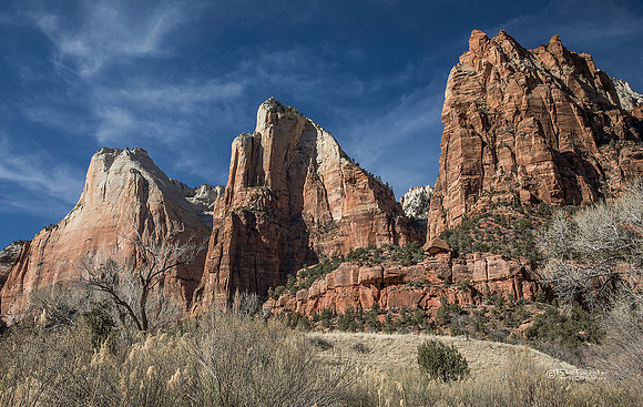 0270-LoRes-ZionCanyon18