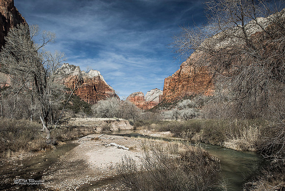 0290B-LoRes-ZionCanyon18