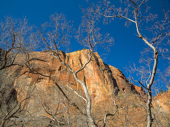 0363-LoRes-ZionValley18