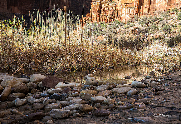 0454-LoRes-ZionValley18