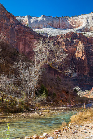 0481-LoRes-ZionValley18