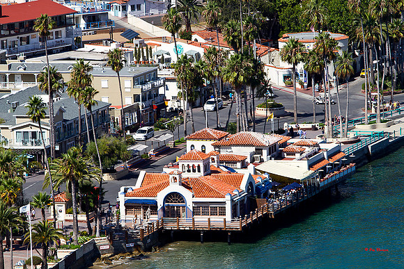 6857-1-LoRes-Avalon10