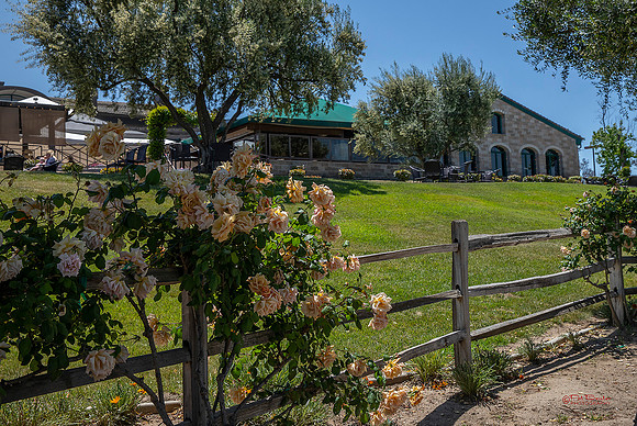 8243-LoRes-ThorntonVenue5-19