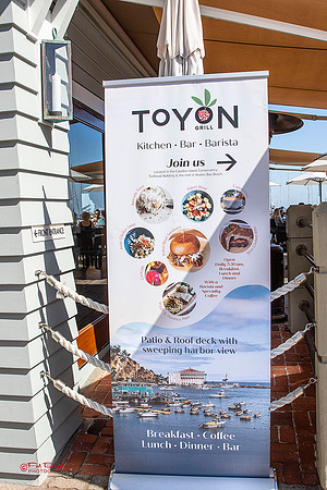6177-LoRes-Avalon@CatJT19