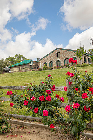 8860-LoRes-ThorntonVenue5-22-19
