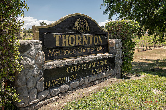 8124-LoRes-ThorntonVenue5-19