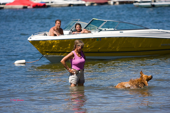 7783-HiRes-BigBearJazz2010