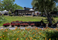 8215-LoRes-ThorntonVenue5-19