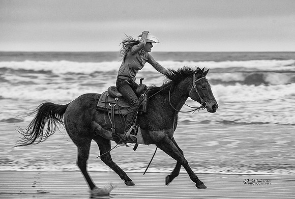 0925-LoRes-PatBenterMorroHorses18