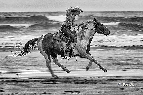 0854A-LoRes-MorroHorses18