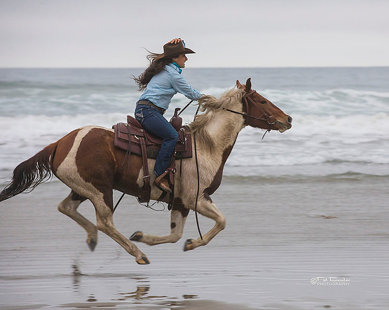 0938-LoRes-PatBenterMorroHorses18_1