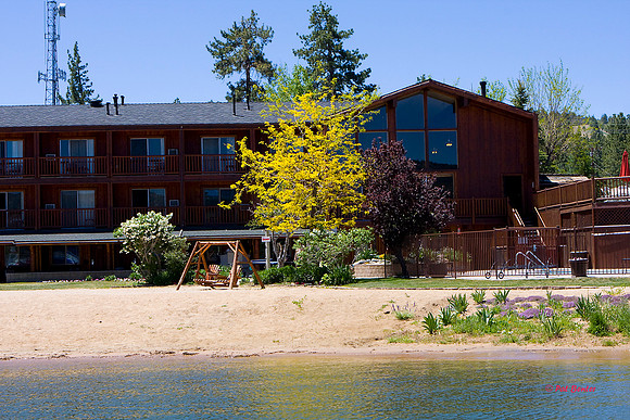 0904-LoRes-BigBearJazz2010